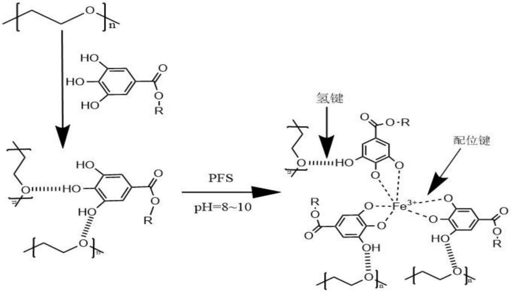 一種茶多酚改性聚鐵絮凝劑及其制備方法和應(yīng)用