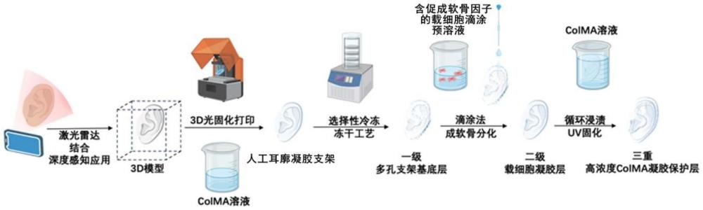 一種基于3D打印-選擇性冷凍技術的多功能復合人工耳廓支架材料及其制備方法