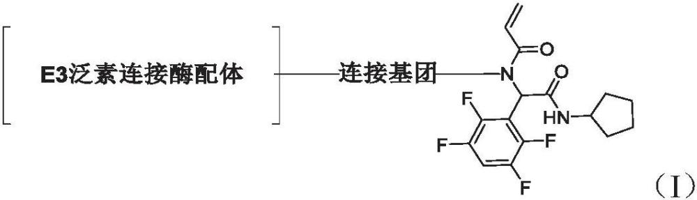 用于降解c-Src激酶的化合物及其藥物組合物和應(yīng)用