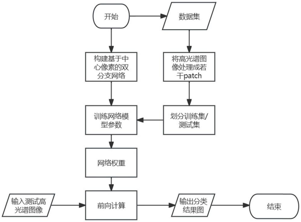 臨地安防體系下高光譜中心像素雙分支圖像分類方法