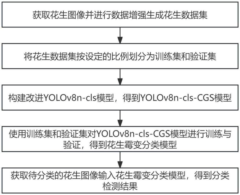 一種基于改進(jìn)YOLOv8n-cls的花生霉變分類方法