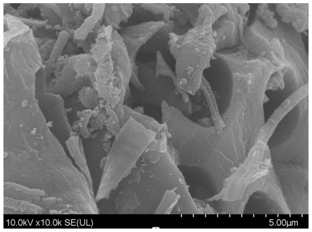 鉛炭電池及其甘蔗渣基硬炭負(fù)極活性材料的制備方法