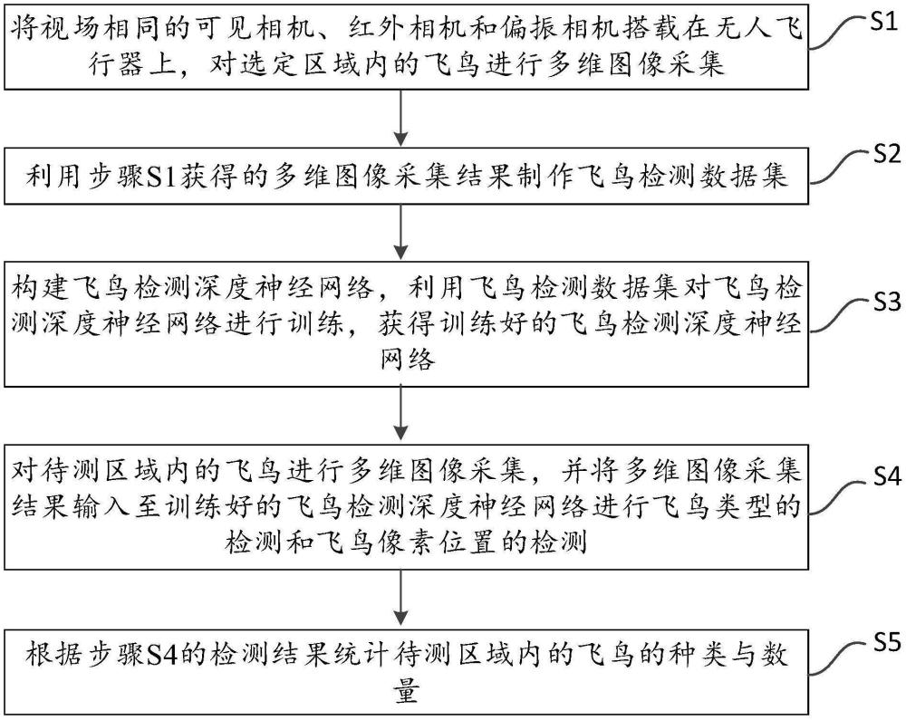 基于多維信息融合的廣域鳥群檢測與統(tǒng)計(jì)方法