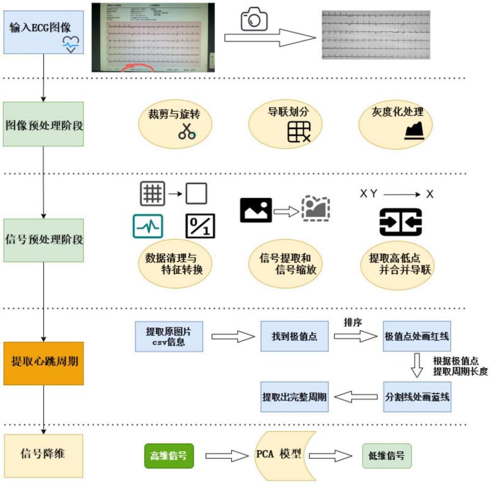 一種從ECG拍攝圖像提取心跳周期和數(shù)值信號的方法及裝置