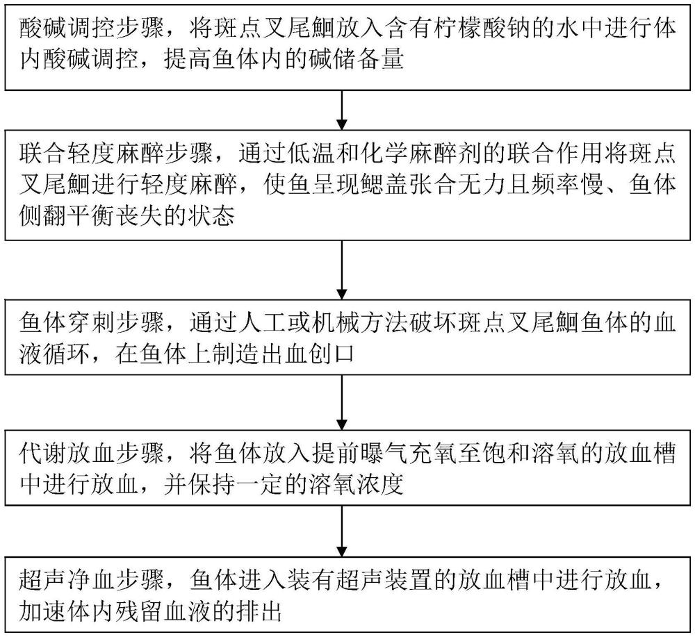 一種斑點(diǎn)叉尾鮰的低應(yīng)激放血加工方法與流程