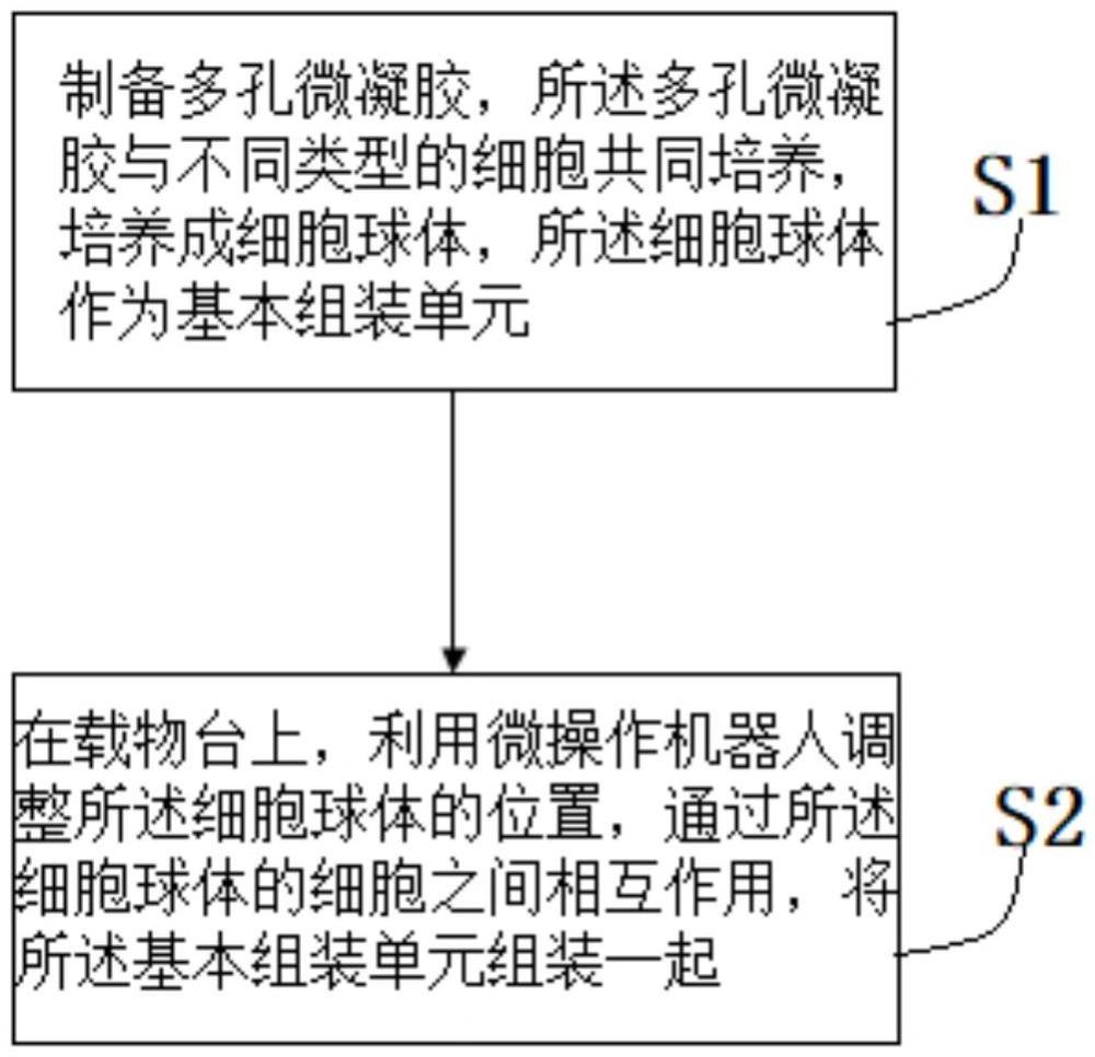 一種微操作機(jī)器人的載細(xì)胞微凝膠組裝方法及應(yīng)用