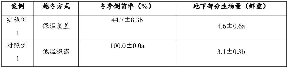 一種大花刺續(xù)斷的種植方法與流程