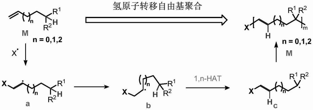 一種基于氫原子轉(zhuǎn)移的自由基聚合反應(yīng)及聚合物