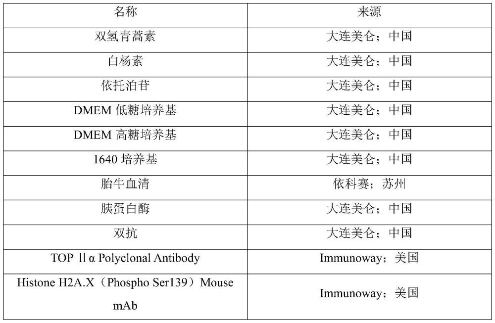 雙氫青蒿素聯(lián)合白楊素在制備提高腫瘤細(xì)胞對(duì)TOP2A抑制劑敏感性的產(chǎn)品中的應(yīng)用