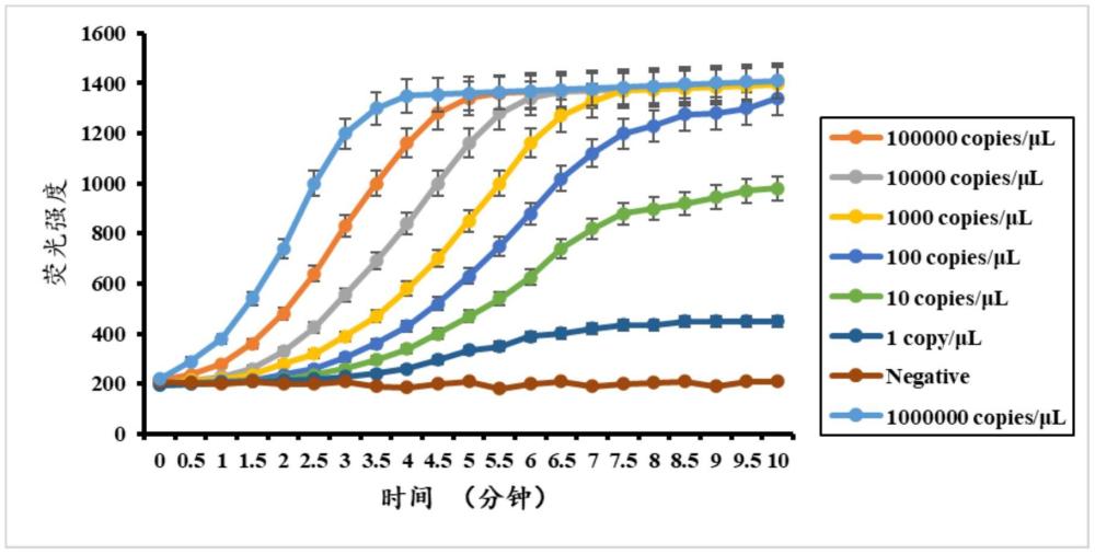 一種用于新冠病毒變異株JN.1特異性檢測的試劑盒及應用