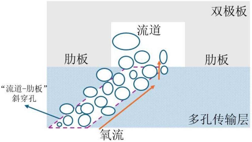 一種質(zhì)子交換膜電解槽中的斜穿孔多孔傳輸層