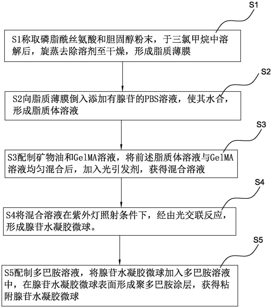 用于穴位刺激的粘附水凝膠載藥微球、制備方法和應(yīng)用與流程