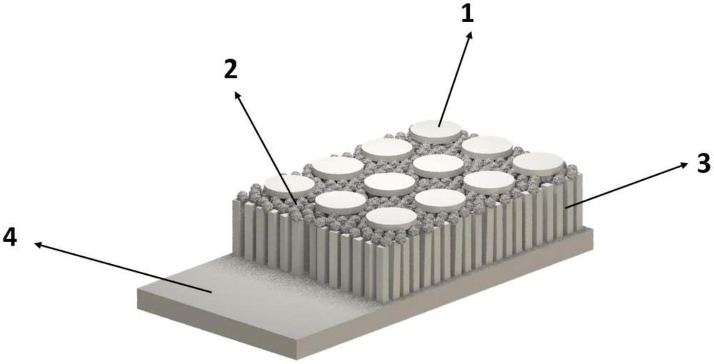 一種基于TiO2/ReS2異質(zhì)結(jié)自整流憶阻器陣列及其制備方法和應(yīng)用