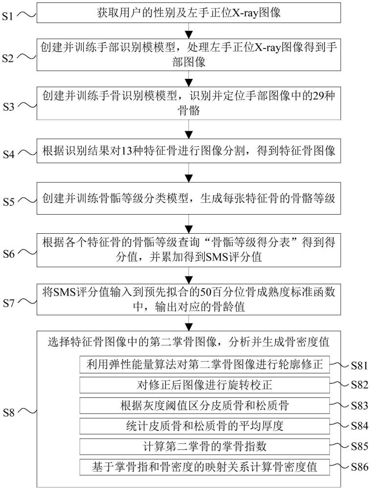 一種基于手部正位X-ray圖像的骨齡骨密度在線檢測方法與流程