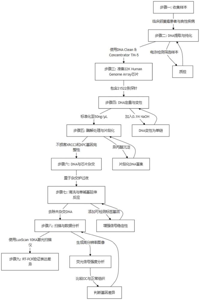 基于XRCC3與XPC基因分析卵巢癌早期篩查方法與流程