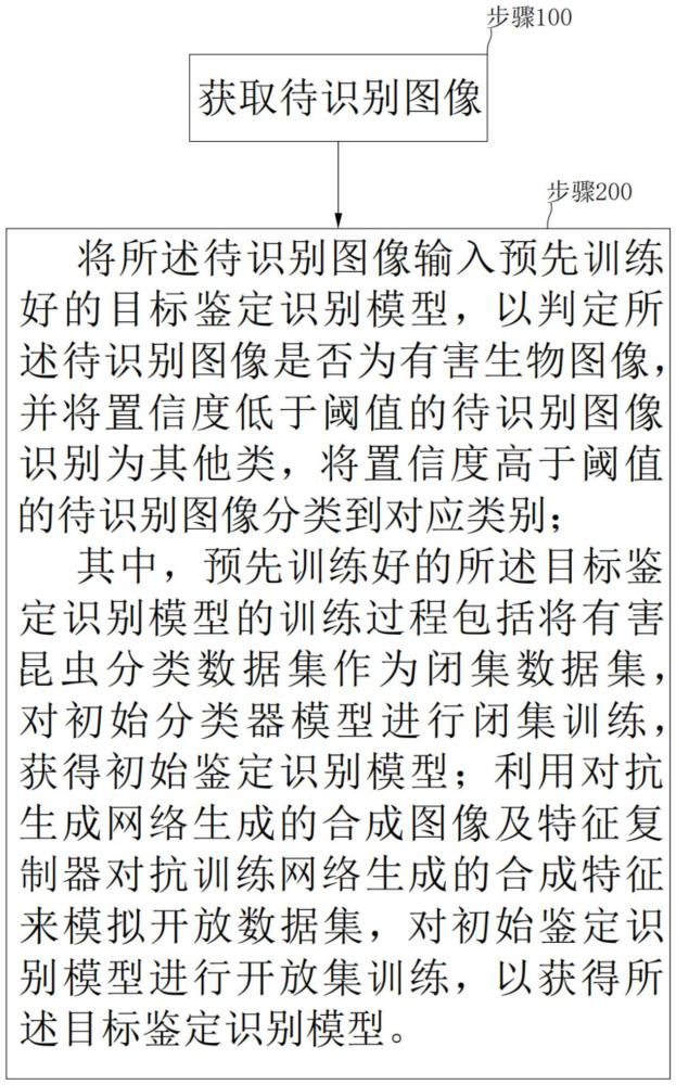 一種有害生物鑒定識別方法、裝置、電子設(shè)備及存儲介質(zhì)與流程