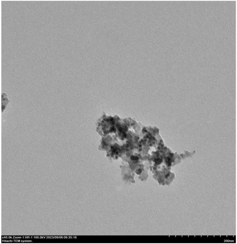 稀土生物蛋白纖維、其制備方法及應(yīng)用