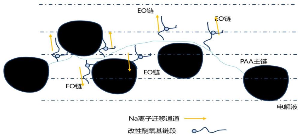 PAA粘結(jié)劑及其制備方法、粘結(jié)劑組合物、負(fù)極極片和電池與流程