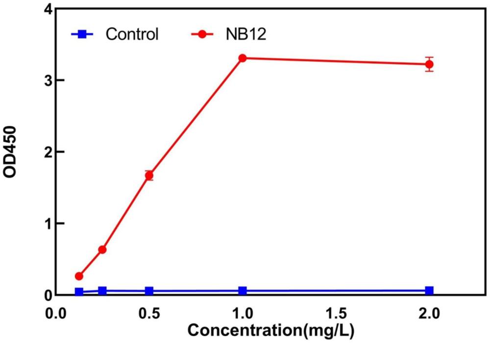 一種靶向魚類無乳鏈球菌SIP蛋白的納米抗體Nb12制備及其應(yīng)用的制作方法