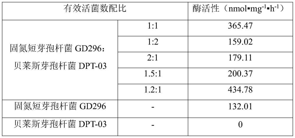 一種能夠提高植物固氮能力的復(fù)合菌劑及其應(yīng)用的制作方法