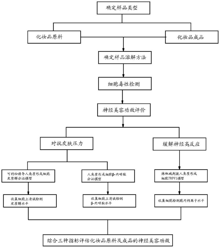 一种体外评估化妆品原料及成品神经美容功效的方法与流程
