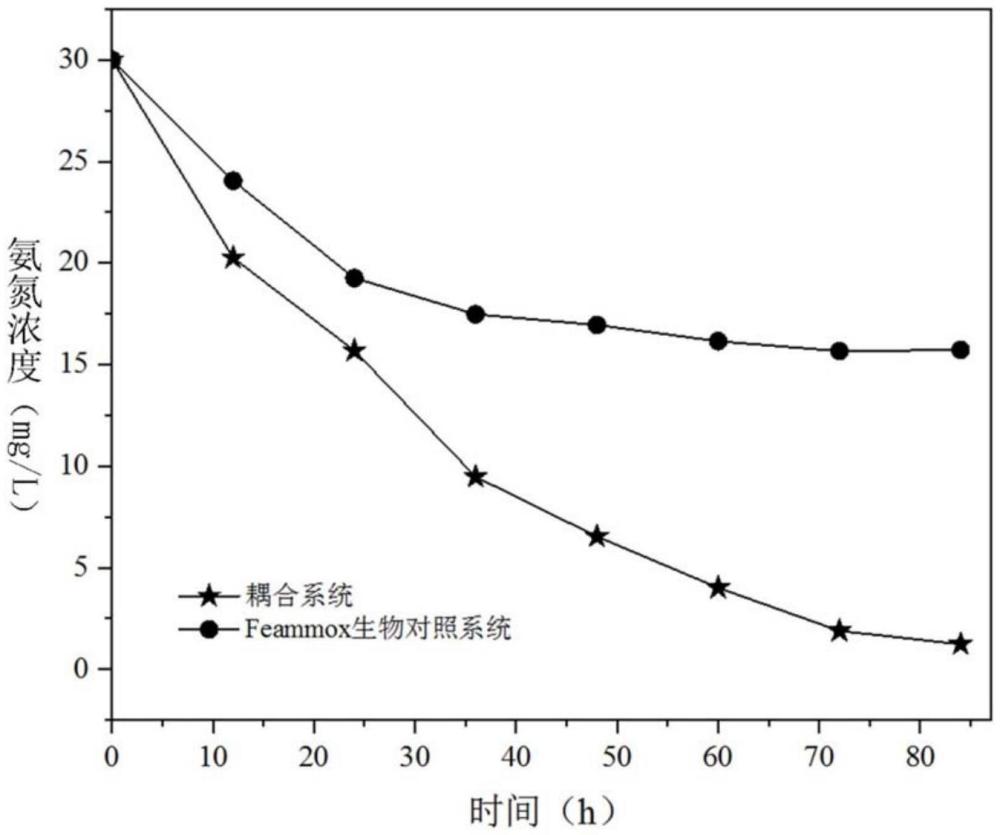 一種基于Fe3O4@CF功能材料提高Feammox脫氨效率的方法