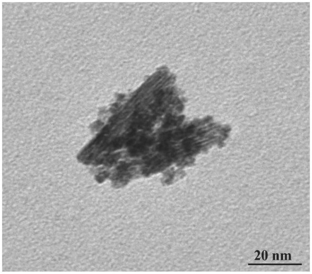 一種靶向線粒體miRNA-204納米探針及其制備方法與應(yīng)用與流程