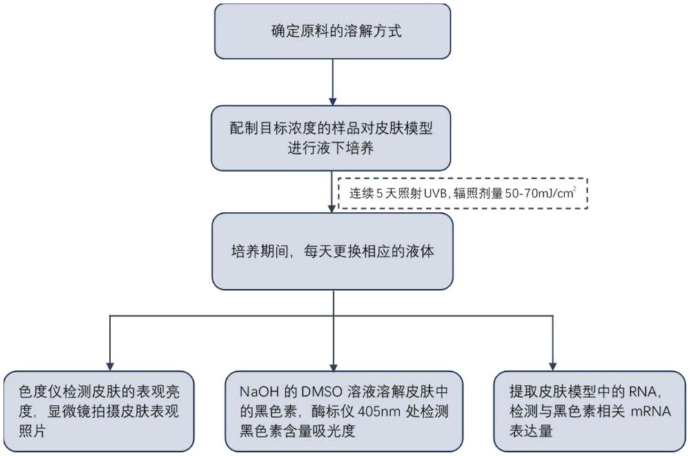 一種利用3D黑素皮膚模型篩選原料美白功效的方法與流程