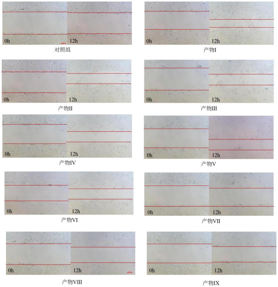 一種龍血素A納米脂質(zhì)體及其制備方法與應(yīng)用與流程