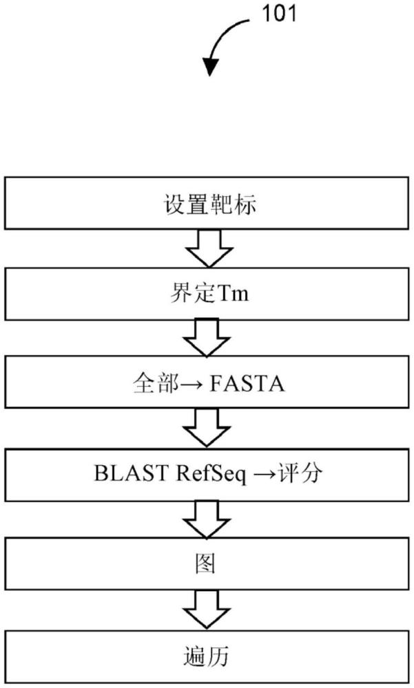 耗竭探針的制作方法