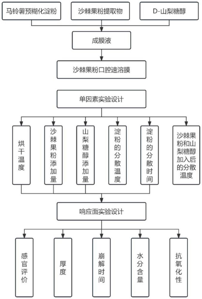 一種沙棘果粉口腔速溶膜及其制備方法