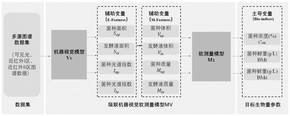 一種基于機(jī)器視覺(jué)的液體菌種生物量的軟測(cè)量方法