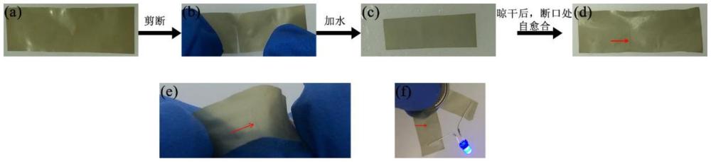 一種自愈合、自粘性柔性導(dǎo)電薄膜的制備方法與應(yīng)用