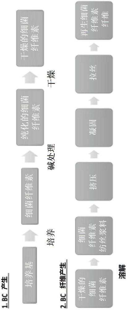 制備再生纖維素纖維的方法與流程