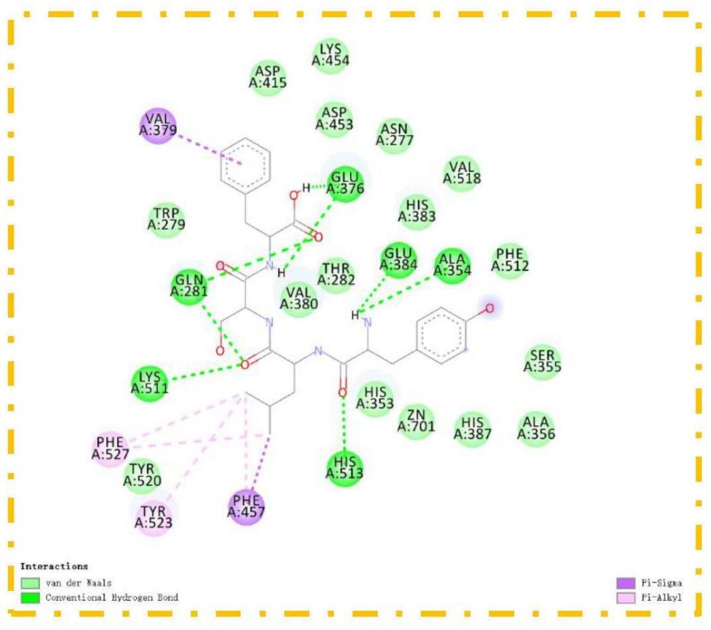 具有降壓和降血糖效果的多肽及其制備方法和應(yīng)用