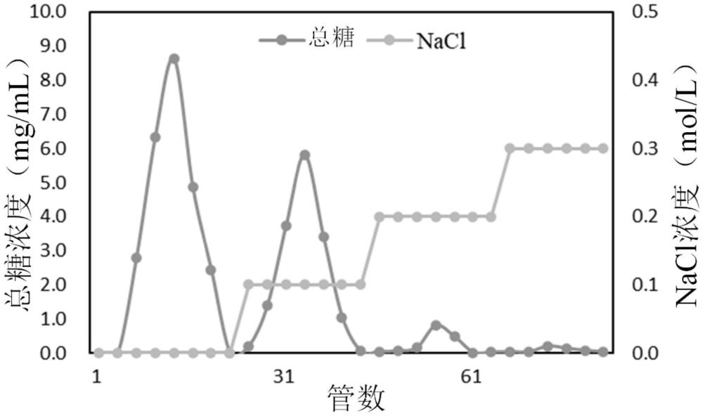 一種風(fēng)柜斗草均一多糖及其制備方法和應(yīng)用