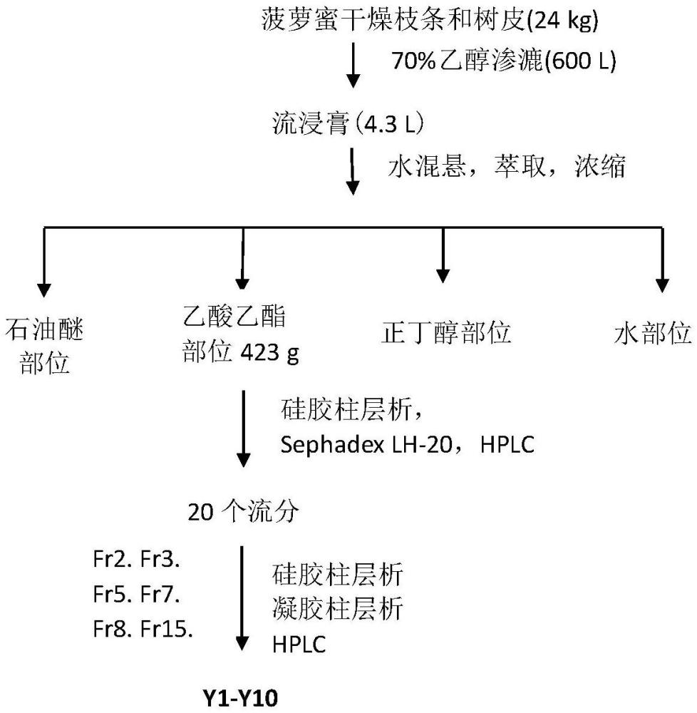 一種異戊烯基多酚類化合物及其應(yīng)用及制備方法