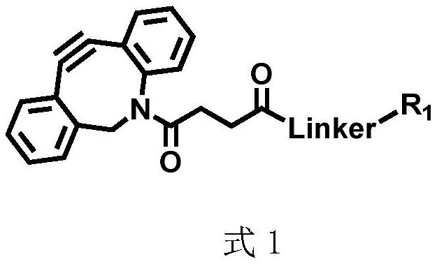 一類點(diǎn)擊型共價(jià)藥物及其區(qū)域選擇性遞送系統(tǒng)及應(yīng)用