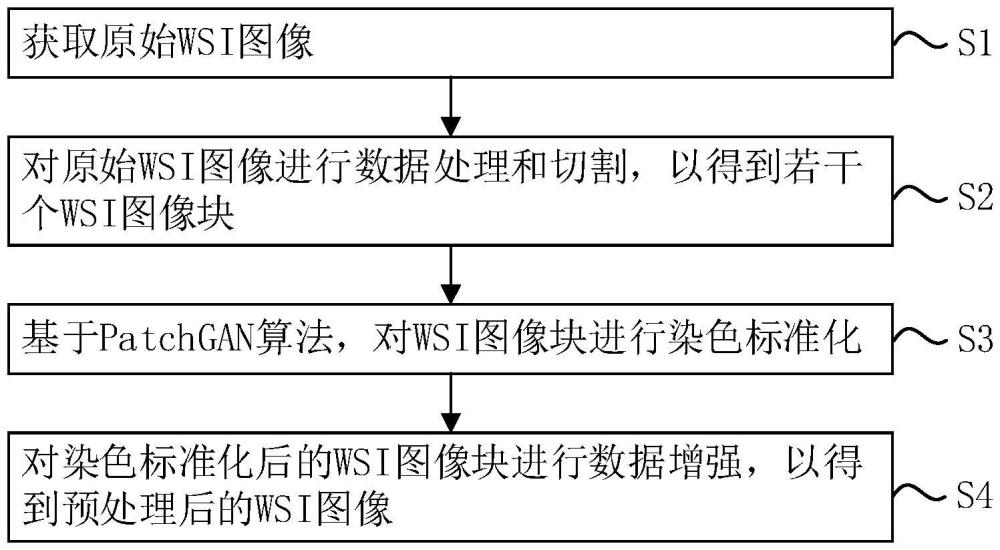 一種WSI圖像的預處理方法及系統(tǒng)與流程