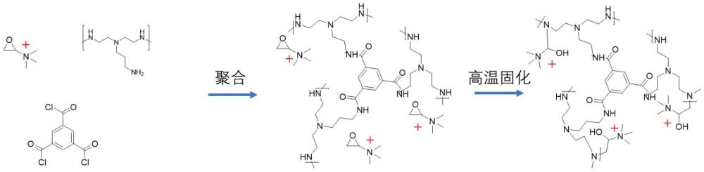 一種高性能鎂鋰分離膜的制備方法