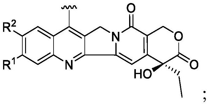 喜樹堿衍生物的制作方法