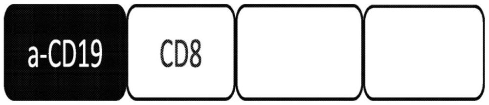用于用抗CD19免疫治療來治療癌癥的組合物和方法與流程