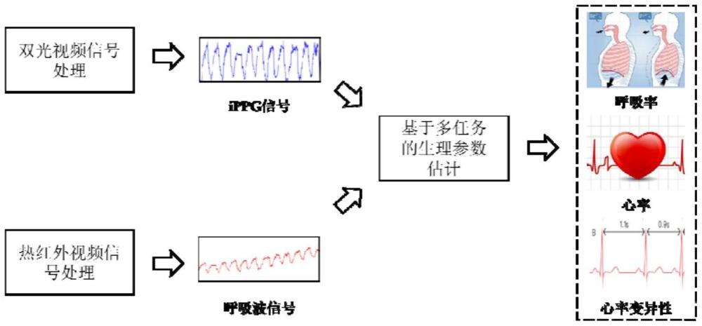 轻量化的非接触式多参数生理检测方法及系统