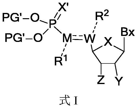 修饰的核苷酸单体及其用途的制作方法