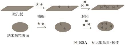 一種基于納米材料表面直接吸附的免疫檢測方法及其應(yīng)用與流程