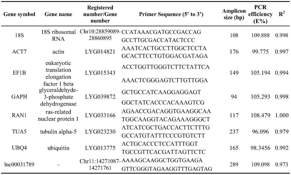 桂花激素處理下的lncRNA內(nèi)參基因及其引物和應(yīng)用