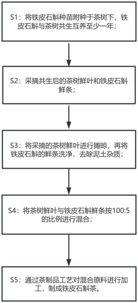 鐵皮石斛茶的制備工藝的制作方法