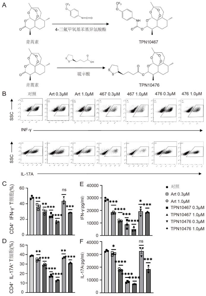 青蒿素衍生物TPN10467和TPN10476在作為預(yù)防和治療自身免疫性疾病藥物中的應(yīng)用