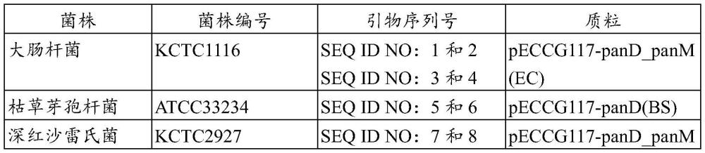 源自赤擬谷盜的具有增強(qiáng)的天冬氨酸1-脫羧酶活性的微生物及其用途的制作方法