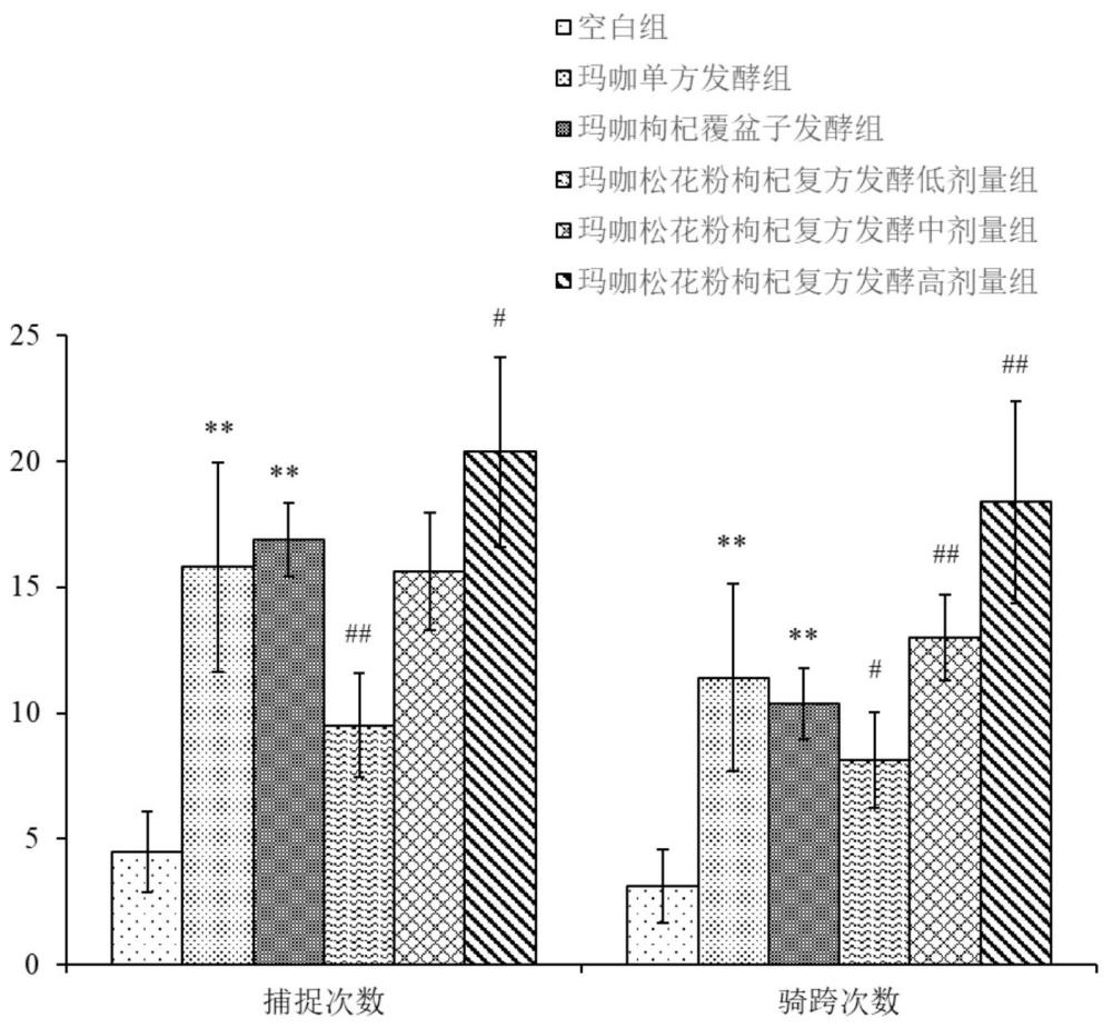 瑪咖復(fù)方發(fā)酵組合物、其制備方法和產(chǎn)品以及在改善性功能中的應(yīng)用與流程